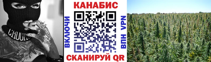 Где купить наркотики Чадан Марихуана МЕФ Псилоцибиновые грибы ГАШИШ Alpha PVP