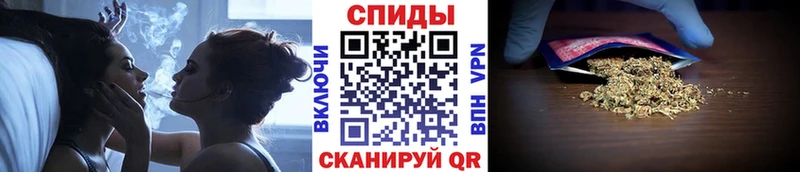 БУТИРАТ буратино  мориарти телеграм  Чадан 