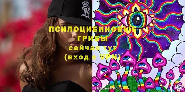 индика Алексеевка