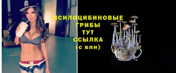 круглые Абаза