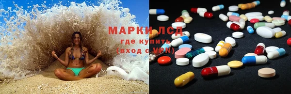 крисы Каменногорск